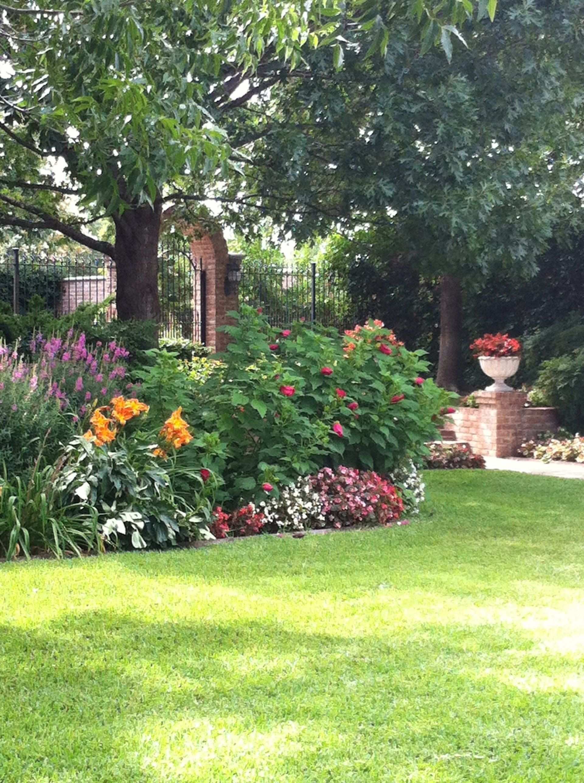 Mown lawn edged with a mixed perennial border in full bloom